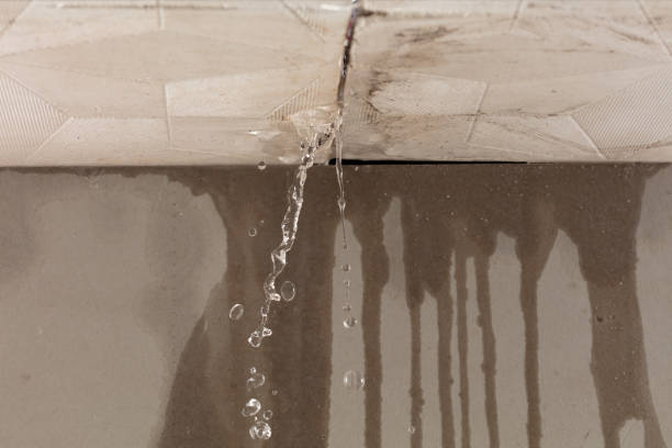 Professional Flood Damage Cleanup technician working in New Springfield, OH